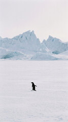 Penguin walking alone across minimal frozen landscape toward mountains emphasizing clarity simplicity and steady progress