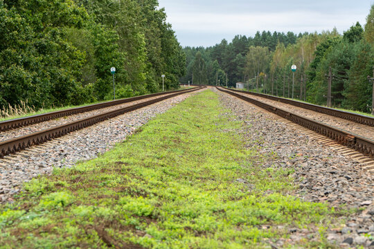 Symmetrical wide angle view of long parallel railroad tracks stretching toward distant horizon through lush green forest under overcast sky with stone ballast and grassy median.