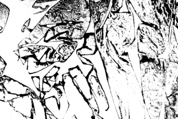 Abstract grunge black and white distressed texture rips tears and rust transparent crumpled industrial overlay background
