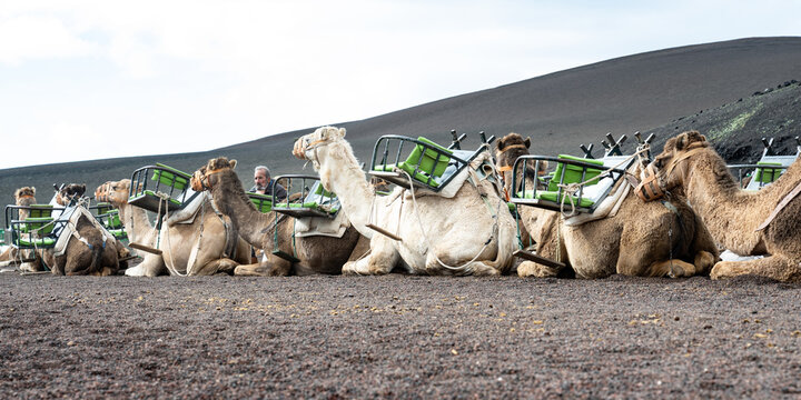 Lanzarote - Timanfaya (2026-01)