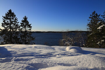 Obraz premium Nice winter landscape photo. Fir trees, snow and lake Mälaren. Järfälla, Stockholm, Sweden.