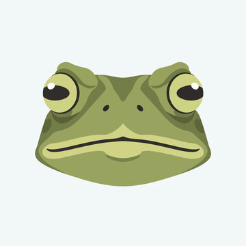 Sad Frog Face