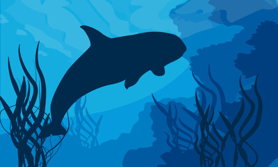 Fototapeta premium A minimalist flat landscape with a killer whale silhouette near underwater rocks with seaweed. A realistic vector image of a marine mammal in its habitat.