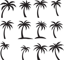 Fototapeta premium set of palm trees, palm, 