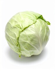 Fototapeta premium Weißkohl isoliert
