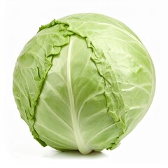 Fototapeta premium Weißkohl isoliert