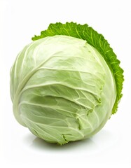 Fototapeta premium Weißkohl isoliert