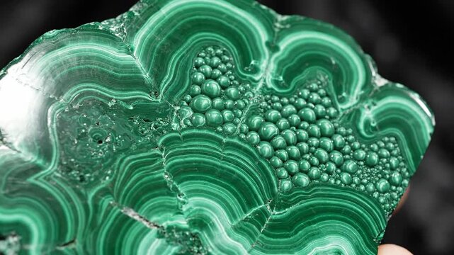 Intricate Green Malachite Mineral With Concentric Bands