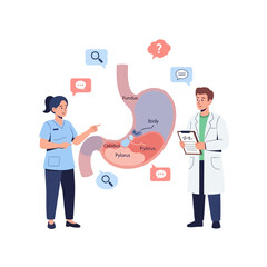 Medical Education: Doctor and Nurse Discussing Stomach Anatomy and Digestion
