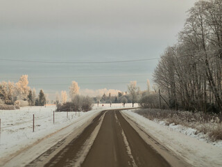 Obraz premium Winter in country side, with trees in snow, wet road, black asphalt, white picture