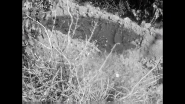 Close up, hoe cultivating soil in manual agricultural work. Tool loosening earth, weed removal in farm. Hands on soil preparation, cultivation in garden. Old film. Archival retro. Vintage archive