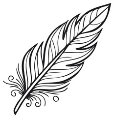 Obraz premium Elegant Decorative Quill Feather Hand Drawn Line Art Vector Illustration