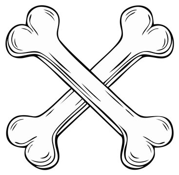 Crossed Bones Vector Illustration Symbol Danger Sign Skeleton Bone Anatomy Drawing