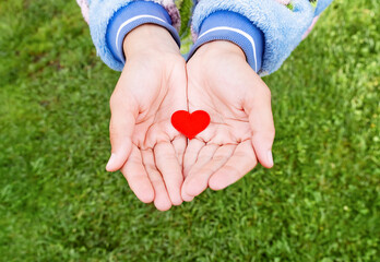 Red Heart in a Hands