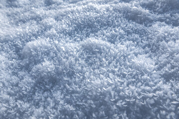 Obraz premium Beautiful snowflakes, fresh snow background, texture