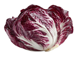 Obraz premium radicchio isolated on a white background ar 43