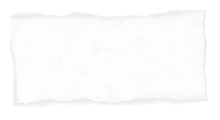 Obraz premium Torn Grey Paper on White Background, Ripped Paper Texture with Copy Space