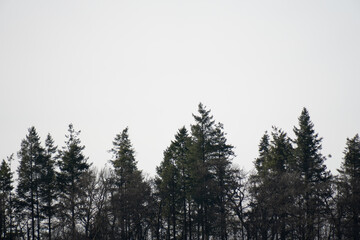 Obraz premium Region Teutoburger Wald