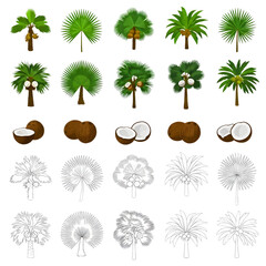 Obraz premium Ultimate Nature Vector Mega Bundle: Exotic Coconut & Palm Collection, Majestic Banyan Trees with Roots, Forest Silhouettes, and Botanical Line Art