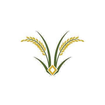 Modern Rice Logo Vector Illustration. Golden Paddy Field Emblem for Organic Food, Farming, and Asian Cuisine Branding