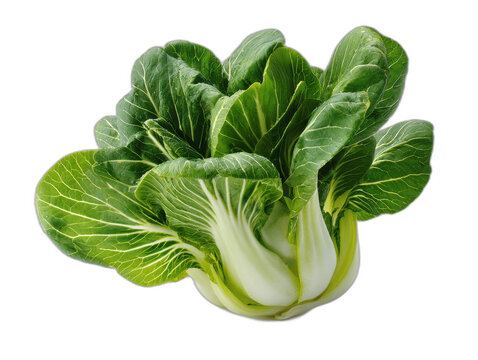pak choi isolated on a white background ar 43