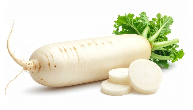 Rettich wei&szlig; isoliert
