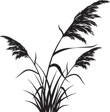 Stylized Black Pampas Grass Silhouette Illustration on White Background
