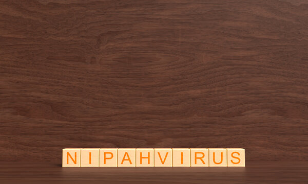 Nipah virus text font cube block wooden square nipah virus disease science epidemic medical inflection health care patient treatment vaccine nipah virus india bat animal safety warning nipah virus 