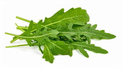 Rucola isoliert