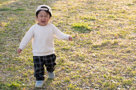 公園で大泣きする幼児