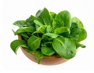 Fototapeta premium Feldsalat freigestellt