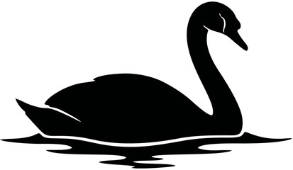 Black Swan Silhouette on Water Surface.