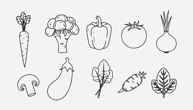 Collection of handdrawn vegetables and fruits line art illustrations