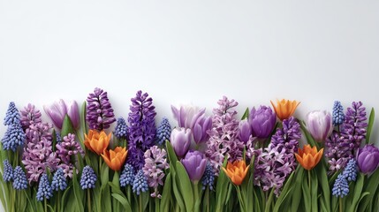 Fototapeta premium Colorful Floral Arrangement with Purple and Orange Blooms Against a Clean White Background for Spring and Seasonal Decor