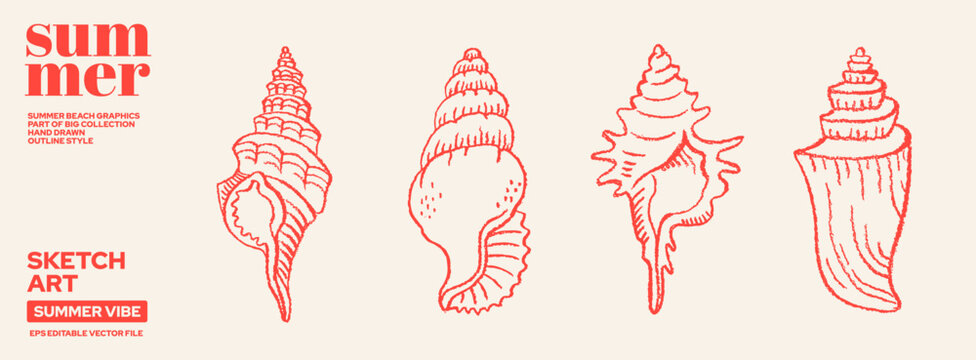 Shell and seashell line summer icon. Sea shell outline beach vector art. Brush, marker, crayon design illustration. Hand drawn sketch. Marine life doodle drawing. Retro set element. Coastal print bg