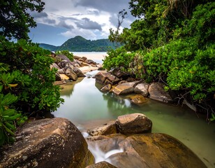 A serene tropical scene featuring a stream flowing toward a sandy beach, framed by lush green foliage and large rocks