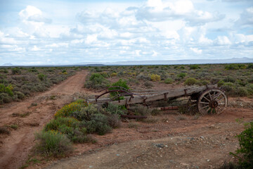 Fototapeta premium Wagon