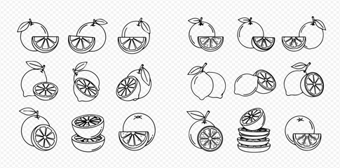 Collection of citrus fruit outline illustrations including whole and sliced oranges and lemons.