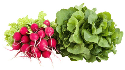 Fresh radishes and lettuce isolated on transparent background