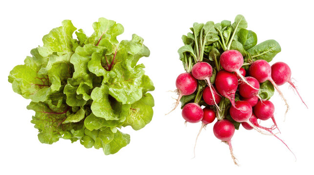 Fresh lettuce and radish bundle, top view, isolated on transparent background