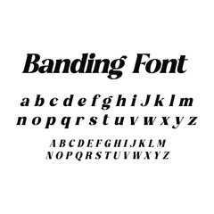 Fototapeta premium Elegant Hand Drawn Font Collection with Numbers Vector