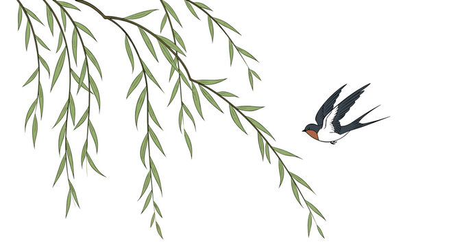 A swallow flying toward willow branches against a minimalist background. Qingming 