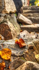 Autumn Leaves on Stone Steps - A Serene Fall Scene.