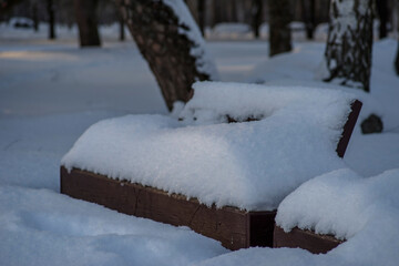 snowy winter in the city park