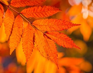 Autumnal Sumac Leaves - A Close-Up of Vibrant Fall Foliage.