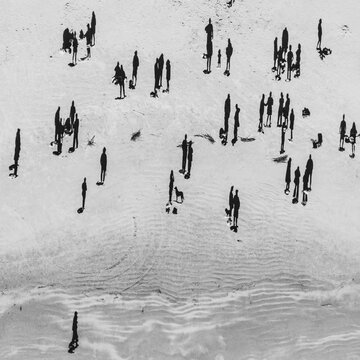 Seabrook Island Polar Plunge Long Shadows