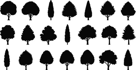 Tree silhouettes collection, forest nature landscape elements, garden flora icons set, oak maple pine spruce, cad drawing flat vector illustration