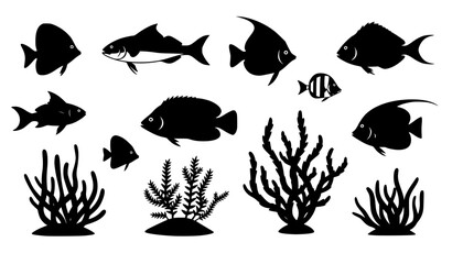 sea animals, fish, algae set silhouette ,on white background, vector
