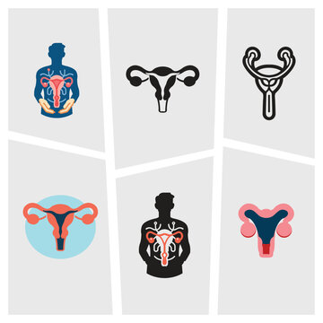 Human reproductive system