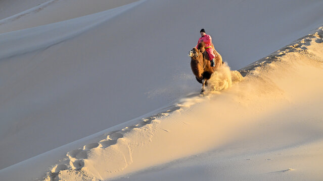 Close-up of a nomadic Camel herder riding a camel in the desert dunes, Mongolia